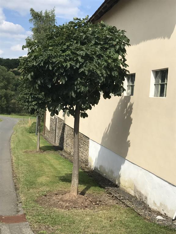 Ferienwohnung Schloessershof Borler Exteriör bild